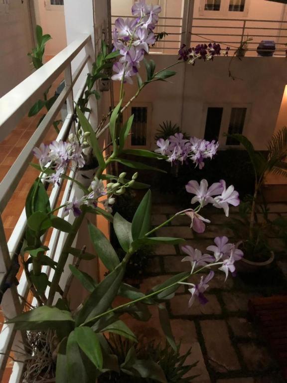 Orchid Guest House Phu Quoc Phú Quốc Ngoại thất bức ảnh